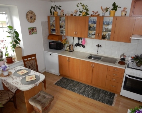 BYT 2+1 ZÁVODSKÁ CESTA