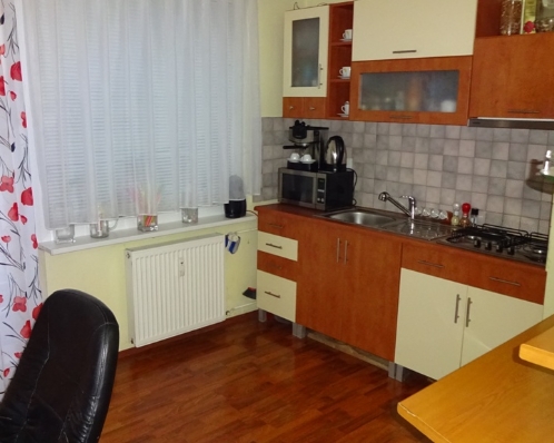 BYT 1+1 ČERNOVSKÁ - VLČINCE